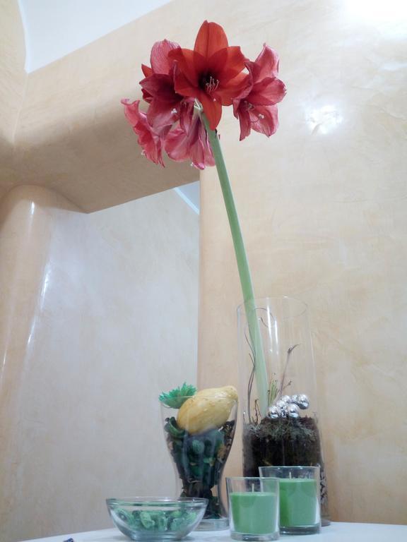 Residence Stendhal Guest House Civitavecchia Ngoại thất bức ảnh